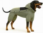 Waterproof Dog Raincoat with Removable Hood – Outdoor Full Body Dog Jacket, Windproof Snowproof Shell Suit – All Season Pet Rain Gear Sage Green L