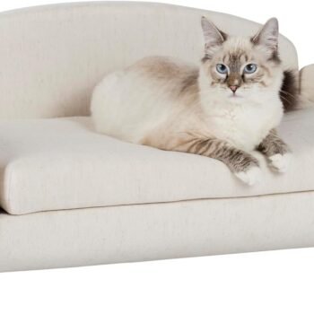 Modern Pet Sofa 31.5" Wide Low Back Lounging Bed with Removable Mattress Cover in Espresso/Oatmeal
