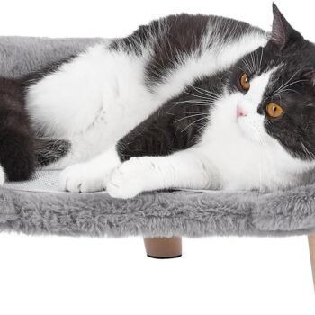 Elevated Pet Bed,Cat Dog Stool Bed with Sturdy Wood Legs Pet Chair, Plush Pet Bed, Round Warm Kennel Soft Puppy Sofa for Small Dog Kitten,Relief and Improved Sleep (Light Gray, Medium)