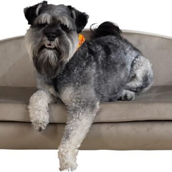 Modern Pet Sofa 35.5" Wide for Medium Dog or Cat with Removable/Washable Mattress Cover