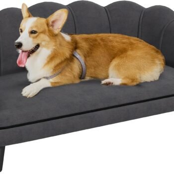 Velvet Large Dog Couch with Foam Cushioning, Soft and Cute Dog Bed with Pearl Design, Dog Sofa for Big and Medium Dogs, Charcoal Gray