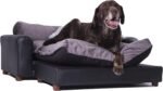 Premium Leatherette Pets Sofa, Regular, Black/Charcoal, X-Large
