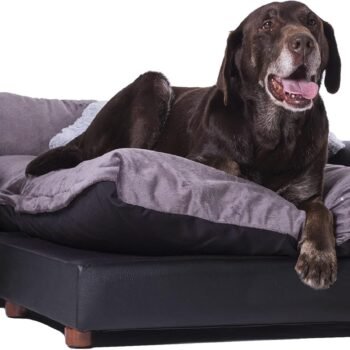 Premium Leatherette Pets Sofa, Regular, Black/Charcoal, X-Large