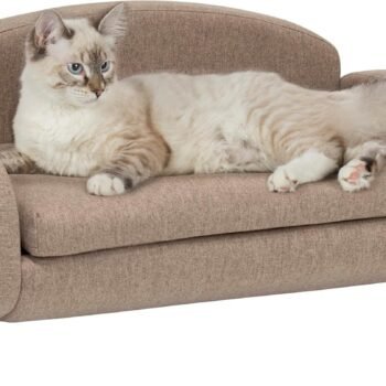 Modern Pet Sofa 31.5" Wide Low Back Lounging Bed with Removable Mattress Cover in Espresso/Sand