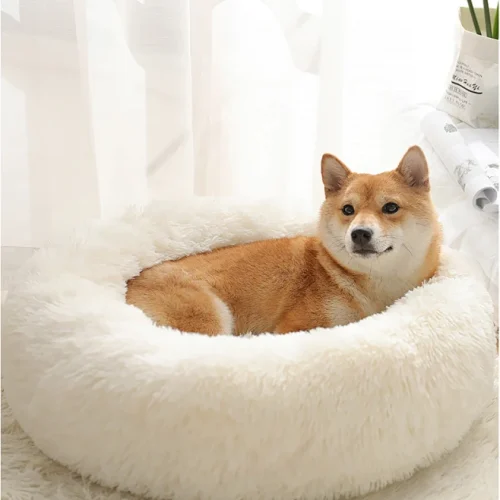 32183b463250d15ce2c792d1a7654daaa07ba0cb32554-oegrWj_fw658webp