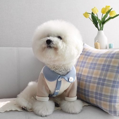 a407b010b234edf7e0d99494ae32dda5cde755fd31747-XFY1yH_fw1200