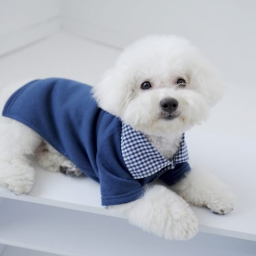 a72f22e51c20294252bc17c66fda5b0e4f59e31158dff-wItGSo_fw1200