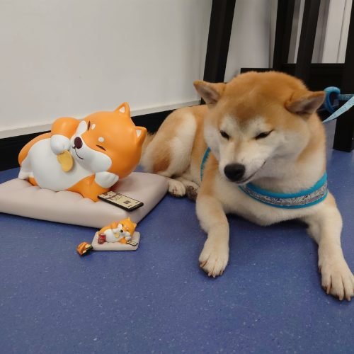 b922fe562c2856524e00d9a8014f05e60c4ffcd22ae28-NzM0We